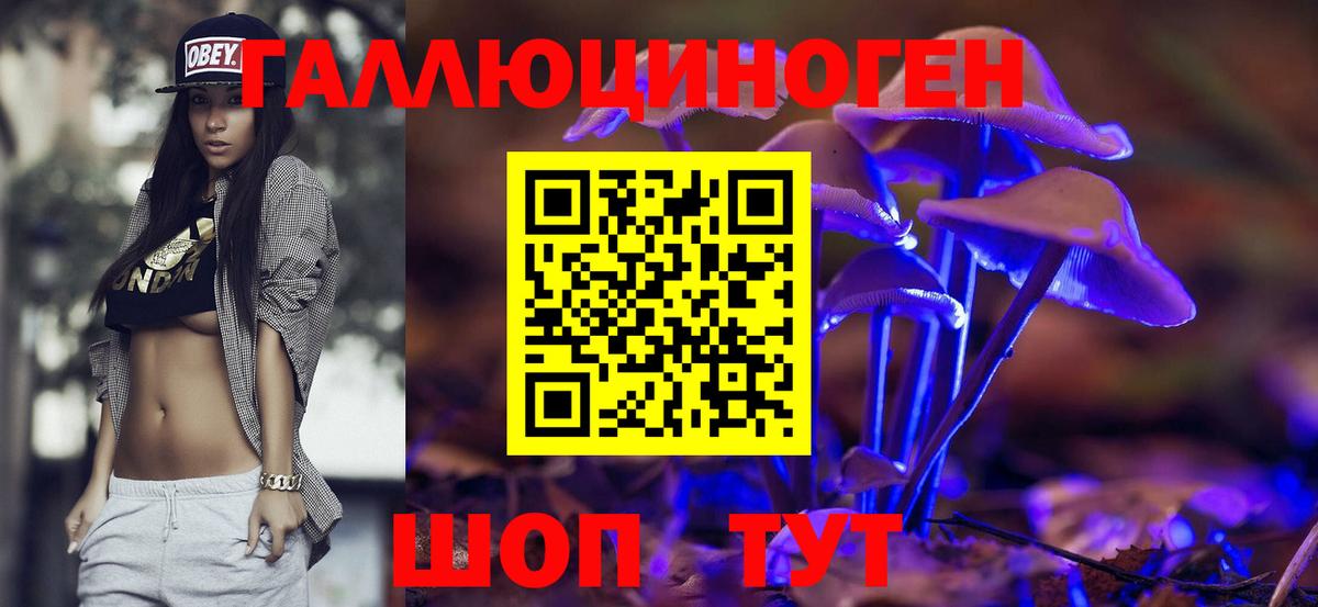 Боровичи  Галлюциногенные грибы Psilocybine cubensis  закладка  Вход с VPN 